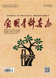 实用骨科杂志