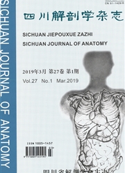 四川解剖学杂志