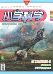 小学科学