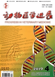 动物医学进展