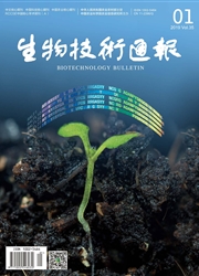 生物技术通报
