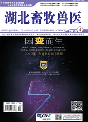 湖北畜牧兽医