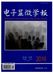 电子显微学报