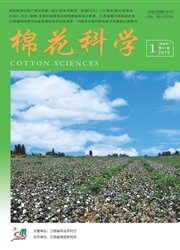 棉花科学
