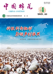中国棉花