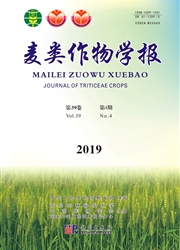 麦类作物学报